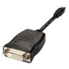 CBDPMINI DVI