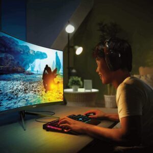 Philips Gaming Monitor
